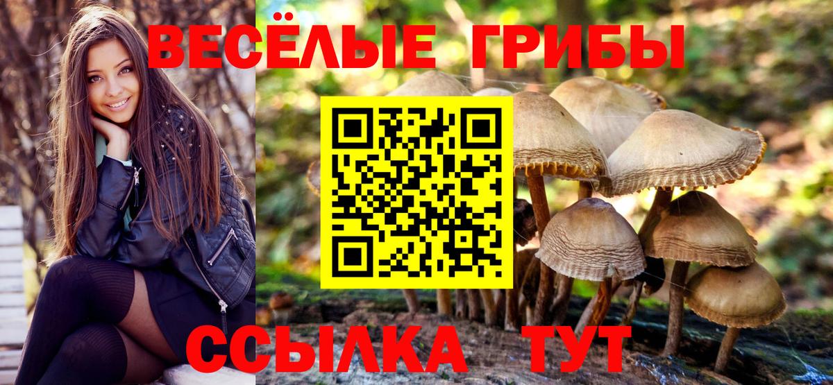 Галлюциногенные грибы GOLDEN TEACHER Советск